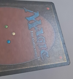 Sylvan Paradise LP Legends MTG Magic the Gathering - Image 5