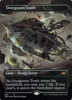 Overgrown Tomb (Borderless) UNF 284 Foil English NM - MTG - Image 1
