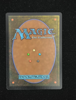 Rith, Liberated Primeval - Japanese - Dominaria United - Magic the Gathering MTG - Image 2