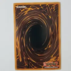 Chrysalis Dolphin - POTD-EN006 - NM - Common - 1st ed - Yugioh - Image 2