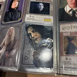 Harry Potter Evolution Panini TCG CCG Folder Of Trading Cards Fast Free Post - Image 4