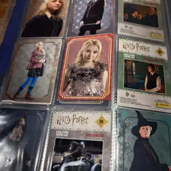 Harry Potter Evolution Panini TCG CCG Folder Of Trading Cards Fast Free Post - Image 5