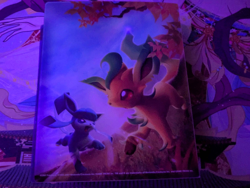 Nintendo Pokemon Card Mini Binder 2007 Cresselia Darkrai Leafeon Glaceon TCG - Image 5