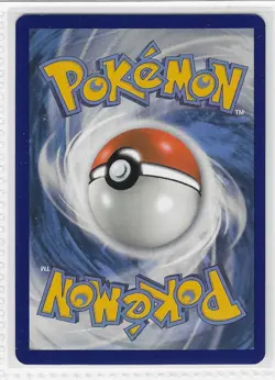 Appletun 023/192 Holo Rare Rebel Clash Pokemon Holo Near Mint - Image 2