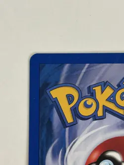 2003 Pokemon Raikou 28/144 Skyridge German Non Holo Rare E-Reader NM - Image 3