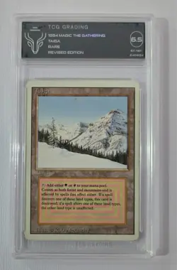 Magic The Gathering: MTG 1994 Taiga Revised Edition (3ED) Graded TCG EX/NM 6.5 - Image 1