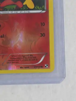 Pansear 21/114 Double Album Energy Reverse Holo Promo Pokemon Black White Rare! - Image 5