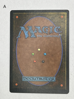 MTG - English Legends Pendelhaven! Moderately Played! - Image 2
