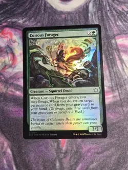 Curious Forager Bloomburrow Foil - Image 1