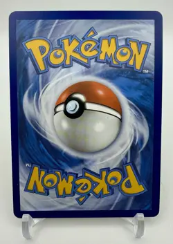 Pikachu V SWSH143 25th Anniversary Promo - Holo Rare - Pokemon TCG - Image 2