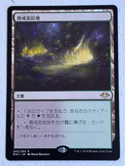 Japanese Nurturing Peatland 243 R Modern Horizons - Image 1