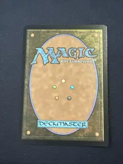 Magic the Gathering: Windswept Heath (Borderless) Modern Horizons 3 Reg NM - Image 3