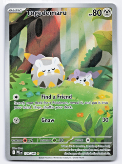 Pokemon TCG Togedemaru 104/94 Phantasmal Flames Playset NM - Image 1