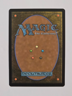 Flashback - R0333 Reg Extended Art - Secrets of Strixhaven - MTG - NM - Image 2