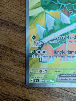 2024 Torterra ex 185/162 Pokemon Temporal Forces Holo Ultra Rare NM - Image 5