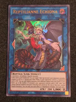 Yugioh Reptilianne Echidna DUOV-EN016 Ultra Rare 1st Ed NM - Image 1