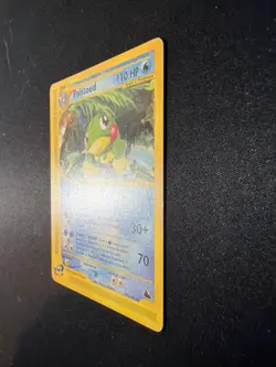Pokemon Card Politoed 25/144 Skyridge Regular Rare Vintage TCG NON HOLO - Image 4