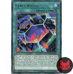 Yugioh Cynet Ritual CYHO-EN051 Rare 1st Edition NM - Image 1