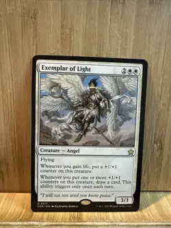 Exemplar of Light Foundations Regular - Image 1