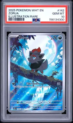 2025 POKEMON WHT EN-WHITE FLARE ILLUSTRATION RARE #142 ZORUA PSA 10 - Image 1