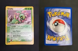 POKEMON UNGRADED CRADILY 3/100 HOLO R SANDSTORM NM - Image 1