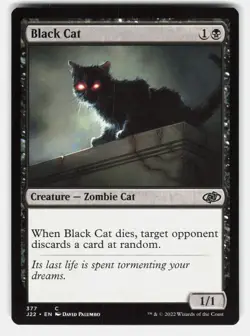 BLACK CAT - Magic: The Gathering - Palumbo LP - Image 1