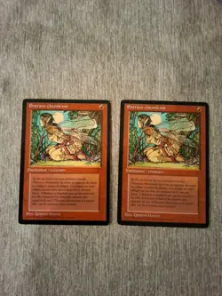 Earthbind - MTG Revised Edition (Foreign Black Border) Lightly Played French - Image 1