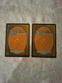 Earthbind - MTG Revised Edition (Foreign Black Border) Lightly Played French - Image 2