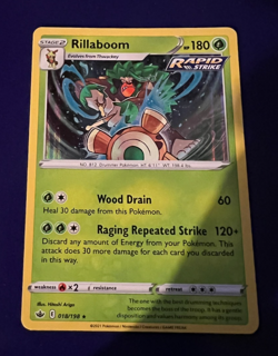 Pokemon - Rillaboom - 018/198 - Chilling Reign - Holo Rare - LP - Image 1