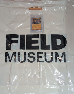 Pokemon Fossil Museum: Chicago Field Museum Archeops Promo Card SEALED - Image 3