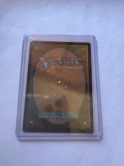 🐢🐢🍕🍕🔥🔥Splinter of the Shadows - Ashcoat of the Shadow Swarm (Borderless) - Image 2
