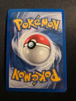 Dark Gyarados (Prerelease) 08/82 WoTC Promo Holo Near Mint - Image 2