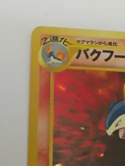Typhlosion No.157 Holo Japanese Neo Genesis Premium File Pokemon Pocket Monsters - Image 4
