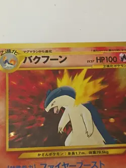 Typhlosion No.157 Holo Japanese Neo Genesis Premium File Pokemon Pocket Monsters - Image 5