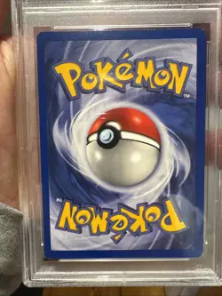 PSA 8 NM-MT Wartortle EVOLUTION BOX ERROR Pokemon PORTUGUESE Base Set WOTC 1999 - Image 4