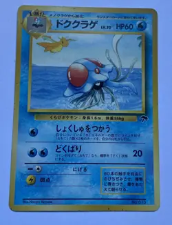 Southern Islands - NM - Tentacruel No. 073 - Japanese - Pokemon card - Image 1