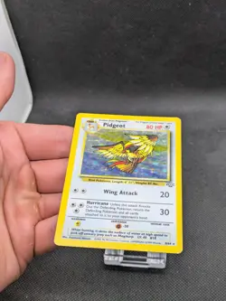 Pidgeot 8/64 Jungle Set Holo Rare Pokemon WOTC LP EXCELLENT - Image 3