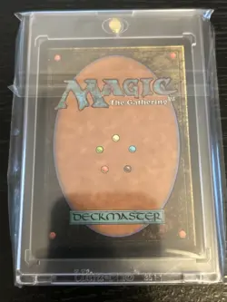Lumra, Bellow of the Woods (Borderless) (Raised Foil) Bloomburrow Foil - Image 2