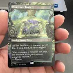 Overgrown Tomb (Borderless) Lorwyn Eclipsed Regular - Image 1