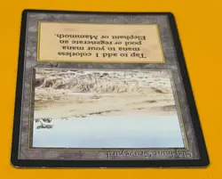 MTG ELEPHANT GRAVEYARD Arabian Nights (OldManMTG 005-028) - Image 5