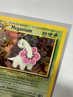 Pokemon Meganium 2000 Holo Swirl Neo Genesis 10/111 Near Mint - Image 2