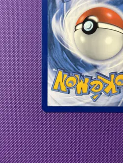 Pikachu SWSH234 SWSH: Sword & Shield Promo Cards Holo - Image 4