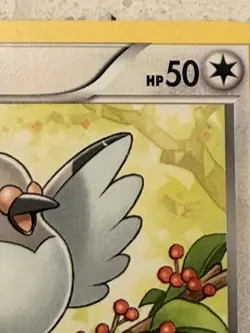 Pidove BW15 Black & White Black Star Promo Non-Holo From Toys-R-Us - Image 2