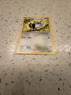 Pidove BW15 Black & White Black Star Promo Non-Holo From Toys-R-Us - Image 4