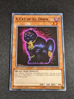 Yu-Gi-Oh! A Cat Of Ill Omen SS01-ENB11 1st Edition Common NM - Image 1