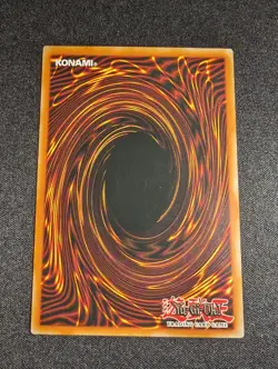 Yu-Gi-Oh! A Cat Of Ill Omen SS01-ENB11 1st Edition Common NM - Image 2