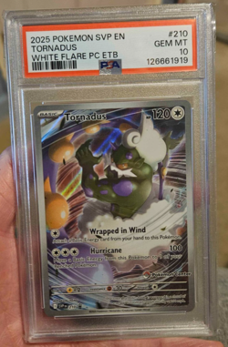 Tornadus Pokemon Center Stamped Promo White Flare 2025 SVP English 210 PSA 10 - Image 3