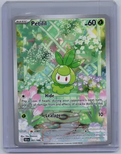 PETILIL 091/086 HOLO ILLUSTRATION RARE BLACK BOLT POKEMON HOLO NM/M - Image 1