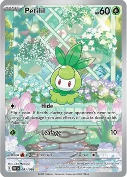 PETILIL 091/086 HOLO ILLUSTRATION RARE BLACK BOLT POKEMON HOLO NM/M - Image 3