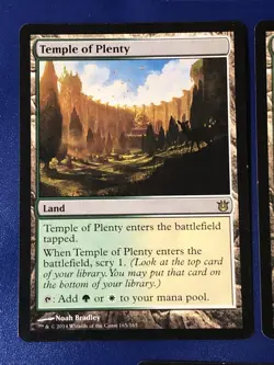 Temple Of Plenty X3 Born Of The Gods LP Condition See Front/back Pics - Image 3